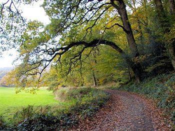 Bridge House Hotel Gunnislake Bagian luar foto